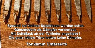 Tonkamm Daempfer 06.JPG